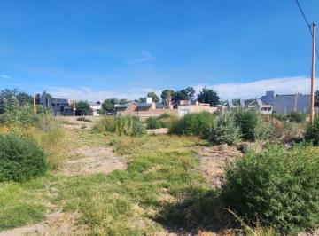 NQN-NQN-219_2 · Lote en Venta