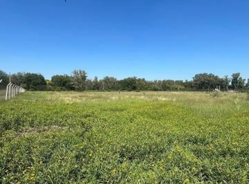 Terreno · 500m² · Venta, Lote, 400 m², Francisco Alvarez