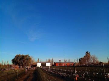 Casa · 160ha · 4 Ambientes · 3 Cocheras · Finca con Vivienda y Produccion