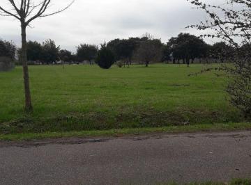 ROJ-ROJ-898_2 · Lote en Venta Haras San Pablo