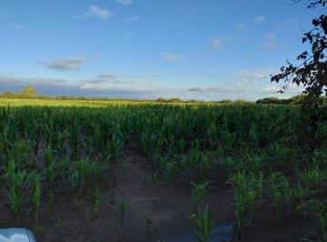 Campo , Córdoba · Campo de 29has en Venta Zona Colonia Tirolesa / Villa Esquiú