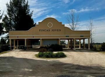 Terreno · 708m² · Lote de 708 m² Apto Crédito en Fincas Joven - con Amenities y Servicios Premium