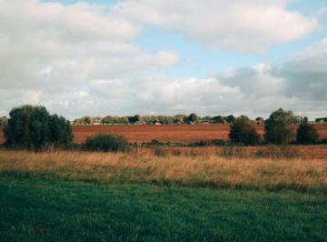 Campo , General Deheza · Campo con 100 Ha en Venta en General Deheza