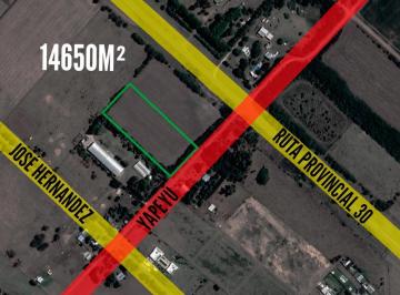 Terreno · 14650m² · Terreno en Venta - 14650 m² - Chivilcoy