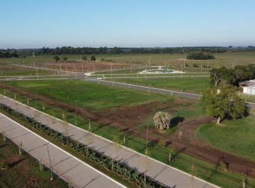 Terreno · 300m² · Venta Terreno de 300 m² en Ecotierra, Pueblo Esther