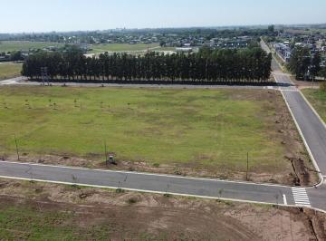 Terreno · 330m² · Venta Terreno de 330 m² en Ecolagos Oeste, General Lagos