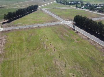 Terreno · 600m² · Venta Terreno de 400 m² en Ecolagos Oeste, General Lagos