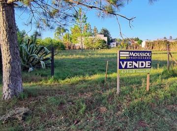 Terreno · 500m² · Terrenos en Venta en Calle San Marcelo E/ Irazusta Nuevo Pueblo Belgrano