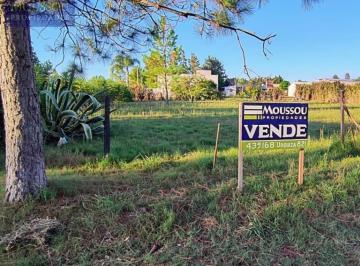 Terreno · 500m² · Terrenos en Venta en Calle San Marcelo E/ Irazusta Nuevo Pueblo Belgrano