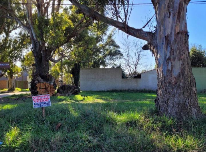Terreno · 178m²
