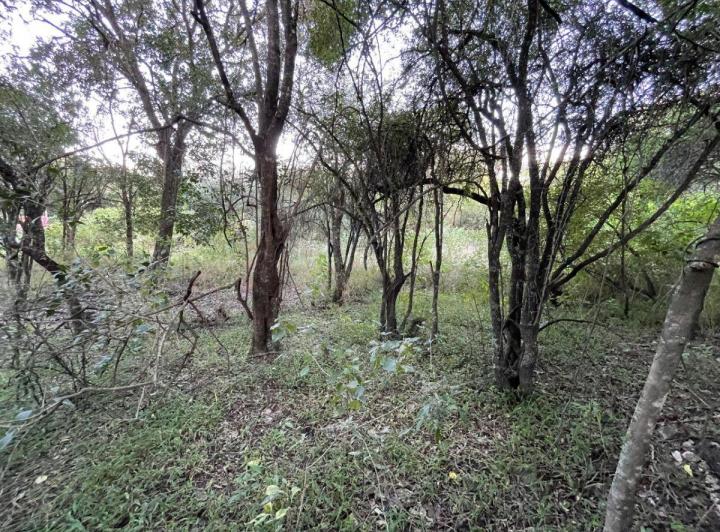 Terreno · 250m²