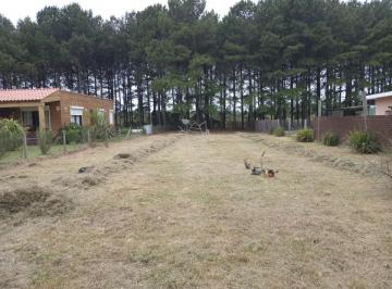 Foto1 · Venta de Terreno en Chacras del Pinar 1000 m²
