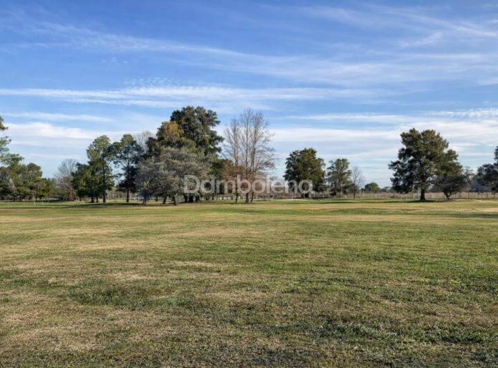 Terreno · 1645m²