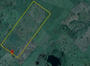 Terreno · 300ha · Oportunidad en Saladillo: 488 Has con Casa y Silos – Ruta 91 Km 20