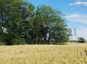 Campo · 13000m² · Venta Campo 13.5 Has Carmen de Areco
