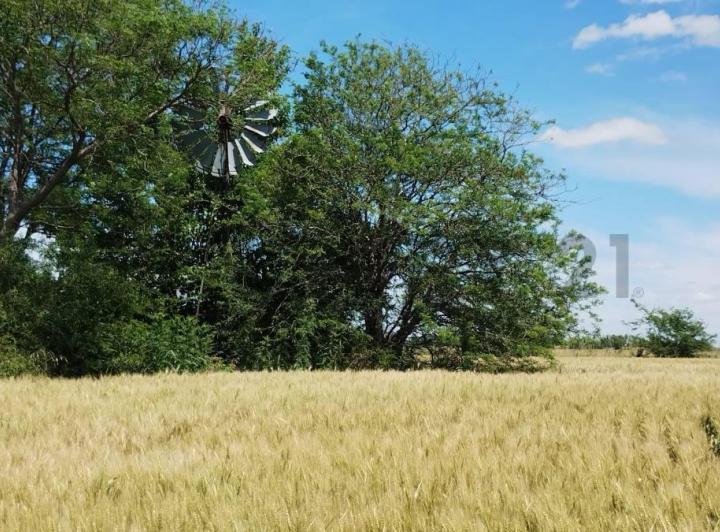Campo · 13000m²