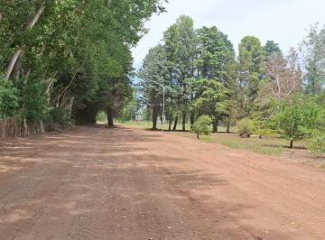 Terreno · 360m² · Loteo Pradera Esmeralda, Plottier.