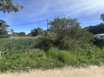 Terreno · 350ha · Terreno en Santa Monica