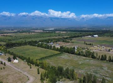 Terreno , Tunuyán · Lote Sobre Ruta Provincial 92 de 2.000 m²