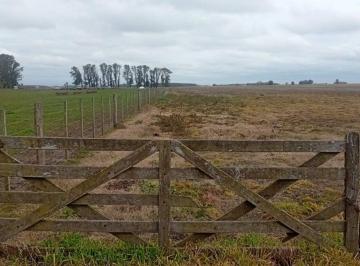 Campo · 143ha · Campo Mixto en Venta 143 Has, Ranchos, General Paz