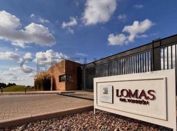 Terreno · 450m² · Venta Lote Barrio Lomas del Torreon