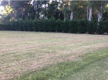Terreno · 6000m² · Espectacular Lote de 6000 m con Derechos Pagos