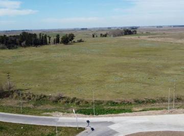 Terreno · 156ha · Campo en San Vicente - Ideal Emprendimiento