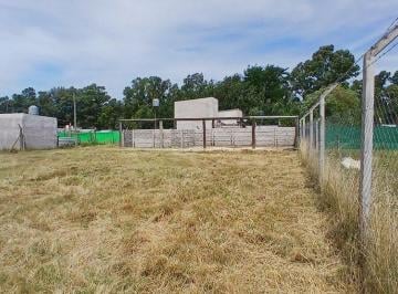 Terreno · 760m² · Doble Lote con Construcción en Domselaar Venta