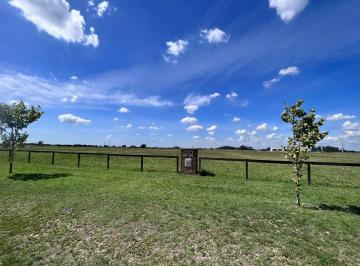 Terreno · 9500m² · Chacra 9500 m Zona de Polo Permuta Menor Valor