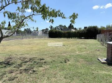 Terreno · 501m² · Terreno Lote en Venta en Santa Emilia, Pilar del Este, Pilar