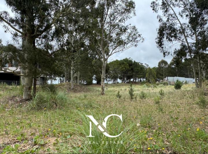 Terreno · 975m²