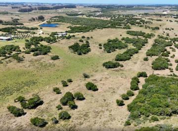Campo · 200000m² · Chacra en Venta en Medellín del Faro – 20 Hectáreas Fraccionadas en 4 Padrones, a 4 Min de José Igna