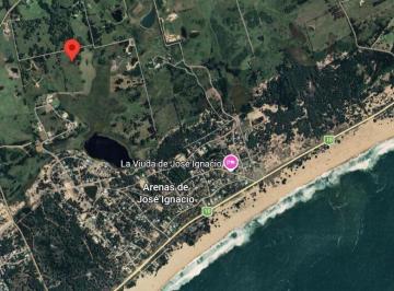 Campo · 100000m² · Chacra en Venta en Arenas de José Ignacio – Entorno Natural, Privacidad y Gran Potencial a Minutos D