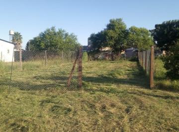 Terreno · 320m² · Ventra Terreno en Ecovida, Villa Amelia