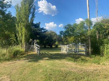 Casa quinta en M.J. García - 4 hectáreas