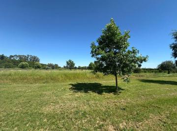 Chacra en Altamira - 1 hectárea