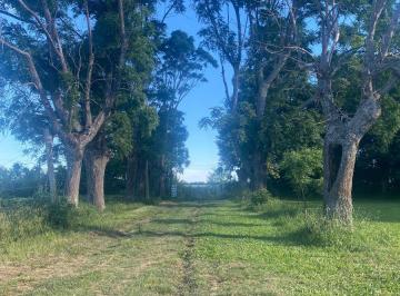 Casa quinta en La Florida - 6 hectáreas