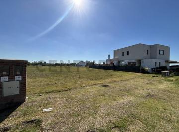 Terreno · 600m² · Venta Lote 600 m² Central en Village Joven – Bella Vista – Excelente Ubicación y Gran Proyección