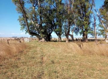 Campo · 1100000m² · Campo en Las Flores