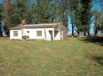 Campo · 70m² · 3 Ambientes · Campo en Rauch