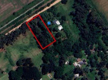 Terreno · 5000m² · Extenso Terreno – Oportunidad Única
