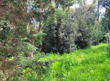 Terreno · 2000m² · Venta – Lote de 2.000 m² en Brandsen