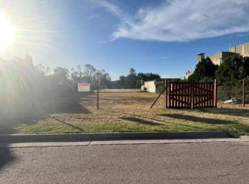 Terreno · 640m² · Venta Terreno en Excelente Ubicacion Barrio Patagonia, Realico 766