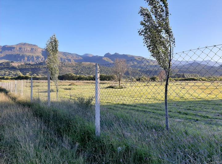 Terreno · 114800ha