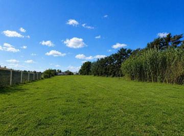 Terreno , La Plata · Lotes en Venta – Villa Castells | Calle 493 Entre 8 y 9 - Lote 10 X 36 (360 M&sup2;)