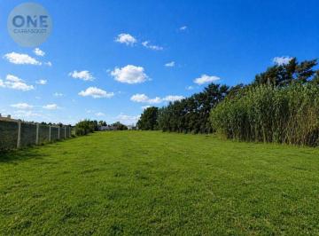 Terreno · 360m² · Lotes en Venta – Villa Castells | Calle 493 Entre 8 y 9 - Lote 10 X 36 (360 M&sup2;)