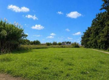 Terreno · 300m² · Lotes en Venta – Villa Castells | Calle 9 Entre 492 y 493 - Lote 10 X 30 (300 M²)