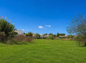 Terreno · 450m² · Lotes en Venta – Villa Castells | Calle 493 Esquina 9 - 15 X 30 (450 M&sup2;)