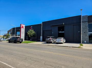 Bodega-Galpón · 960m² · Venta Galpón Sobre Av Belgrano, Pérez