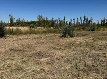Terreno · 1015m² · Se Vende Lote en Loteo Residencial La Rambla - Fernandez Oro, Río Negro.